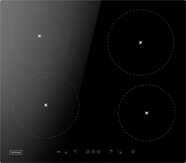Induktionsfeld Reparatur Zweibrücken